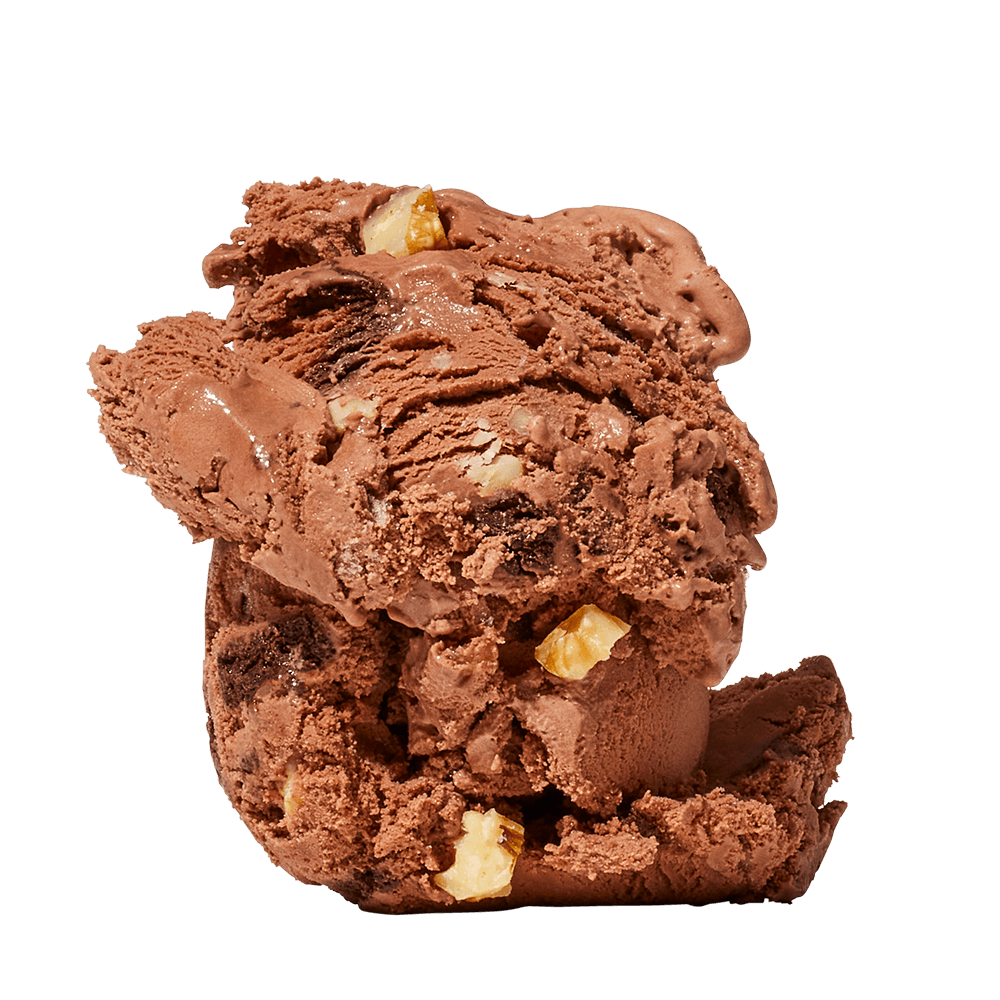 Chocolate Walnut Brownie