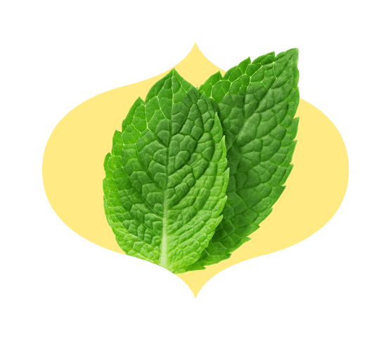 Two mint leaves in a bindi-shaped frame
