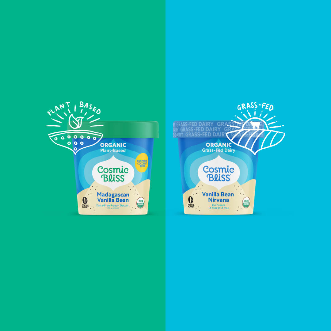 Photo of Plant based Madagascan Vanilla Bean pint and Vanilla Bean Nirvana pint 